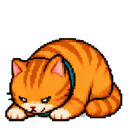 꾸꾸